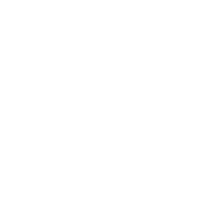 feature icon 2.png
