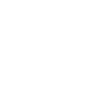 feature icon 3.png